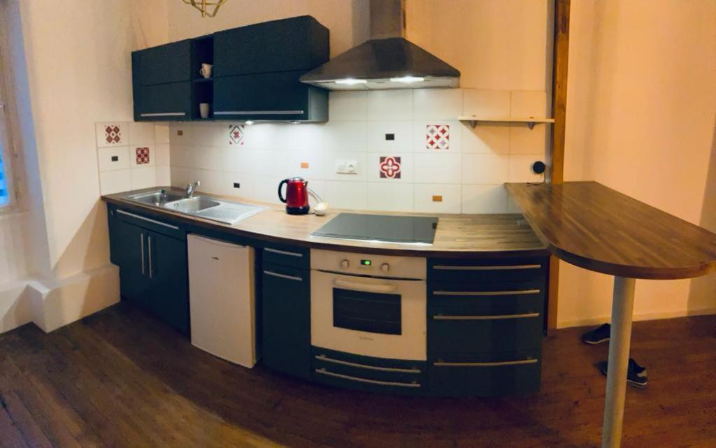 Appartement Le Bleu Roi à Dijon Extérieur photo